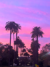 Load image into Gallery viewer, x LA DOLLA $KIN.......Coming Soon!

